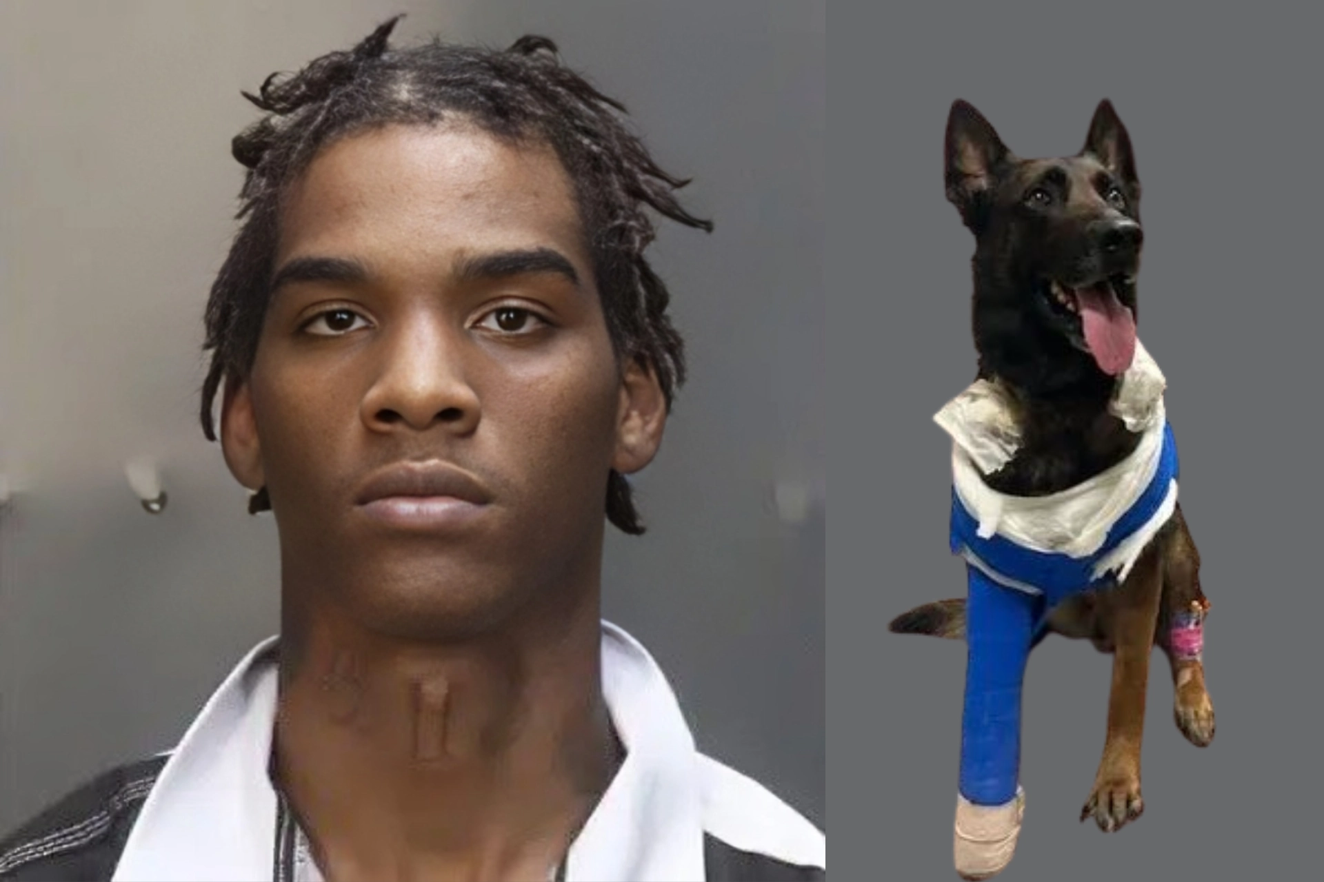 Texas Man Federally Charged After Shooting Police K9 with Glock Switch