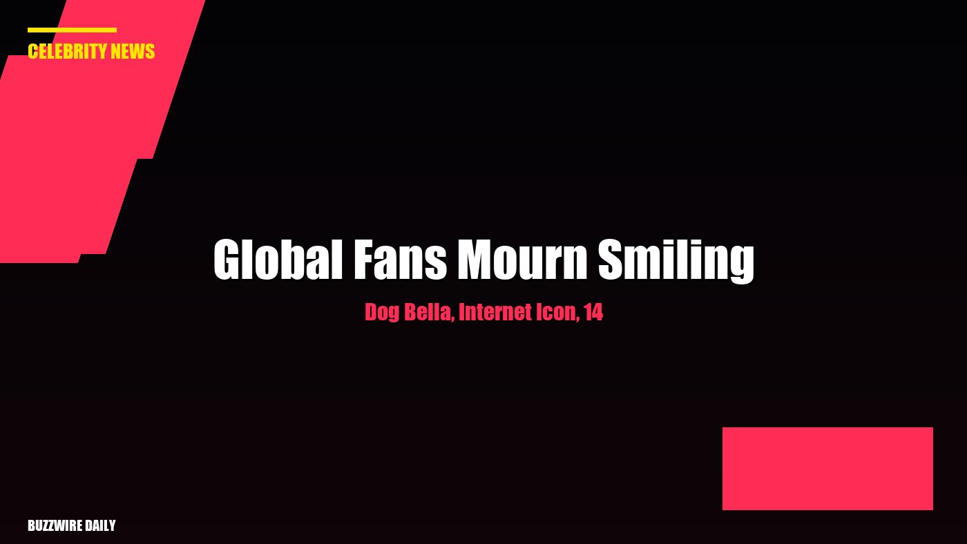 Global Fans Mourn Smiling Dog Bella, Internet Icon, 14