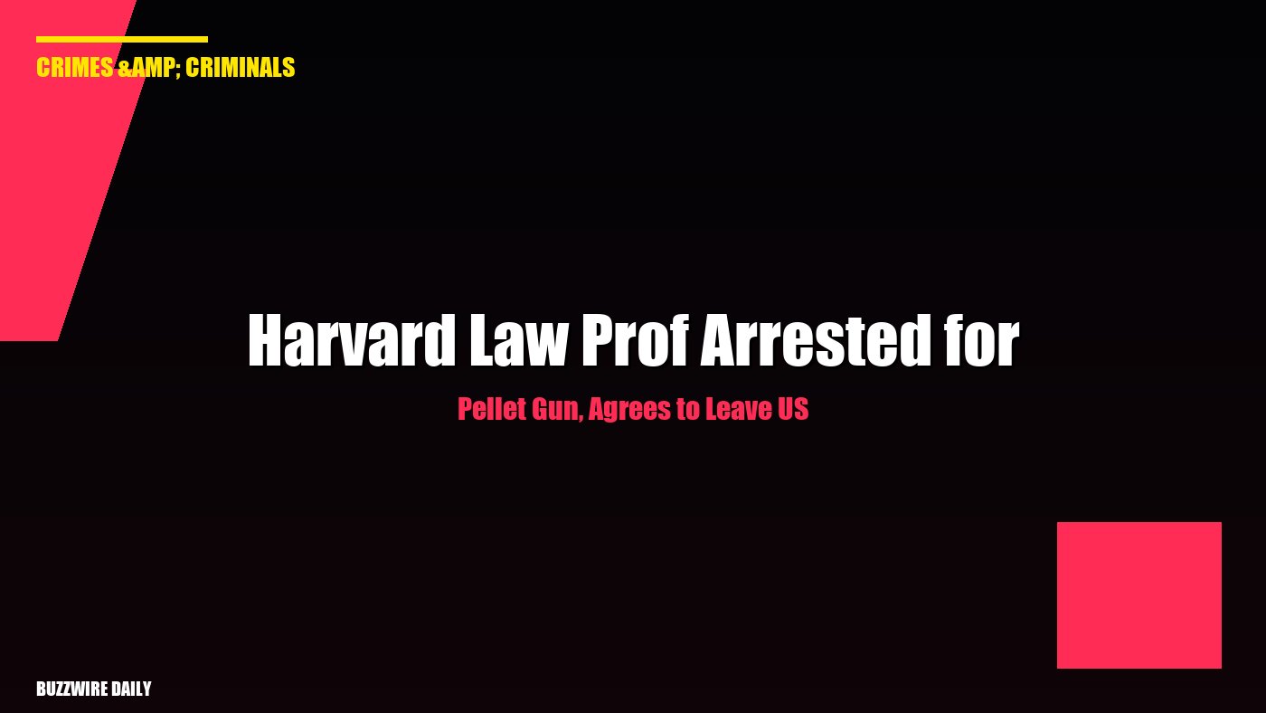Harvard Law Prof Arrested for Pellet Gun, Agrees to Leave US